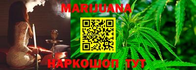 сатива Аргун