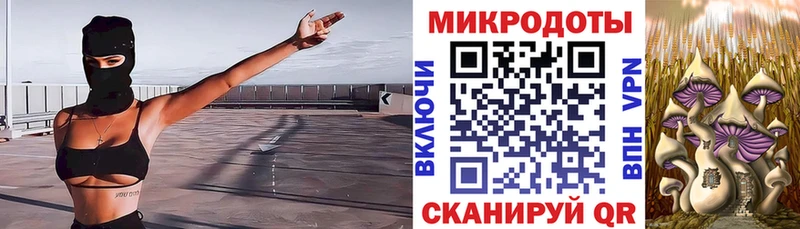 Купить Заволжье Галлюциногенные грибы Cubensis