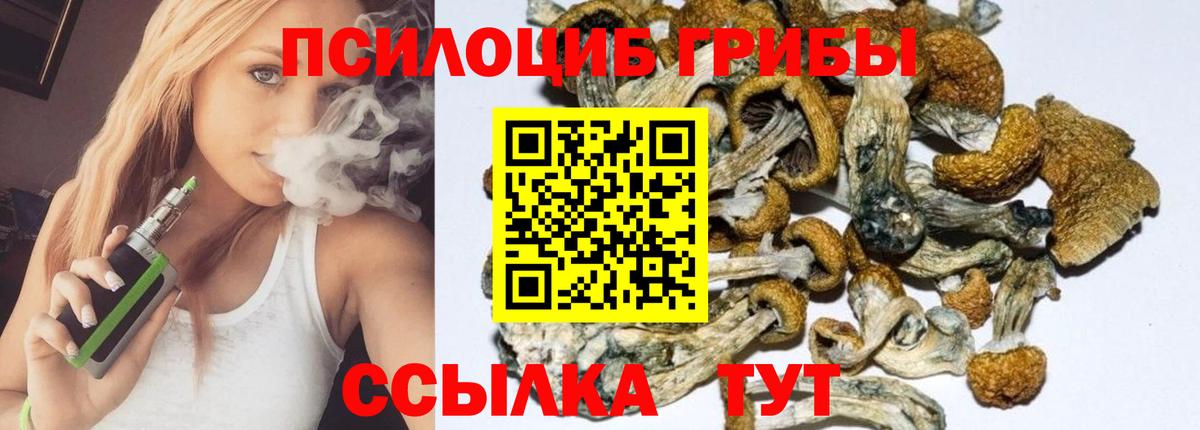 Псилоцибиновые грибы Cubensis Заволжье