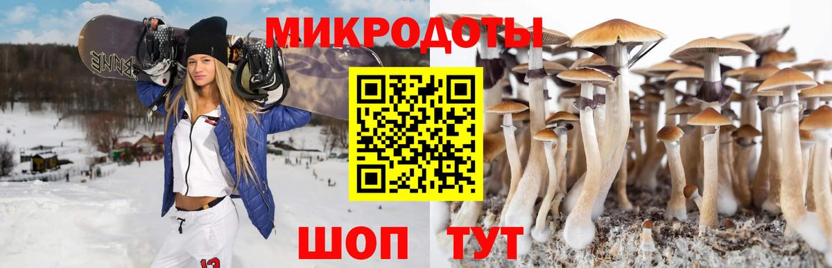 Галлюциногенные грибы Cubensis  Заволжье 