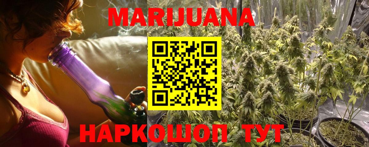 Конопля планчик Заволжье